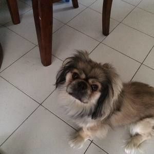 Meet your Posher, Debbrina